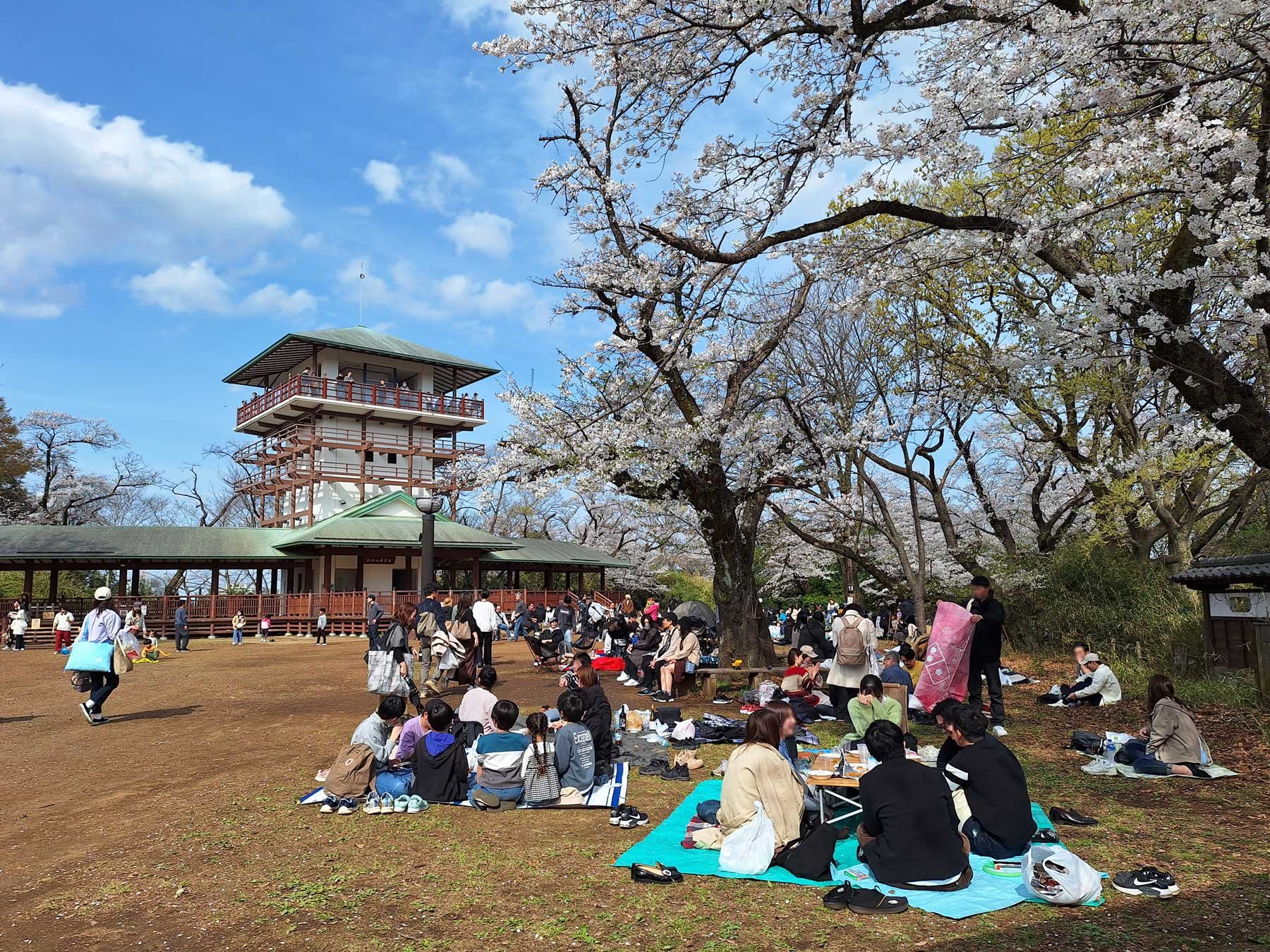 🌳 이쿠타 녹지(이쿠타 료쿠치) 이미지 6